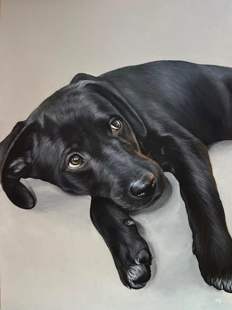 Retrato pintado a mano de Kali, un labrador negro