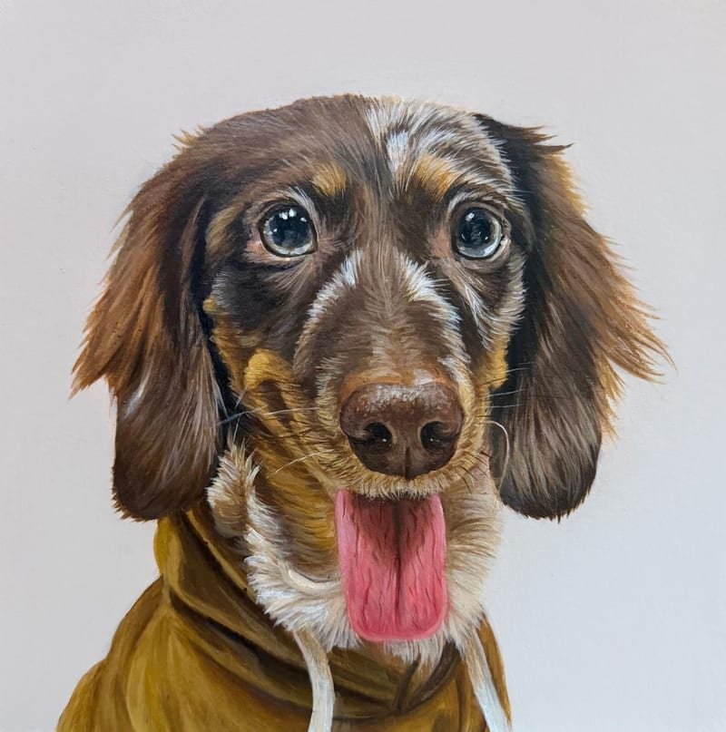 Retrato pintado a mano de Leo, un perro salchicha marrón