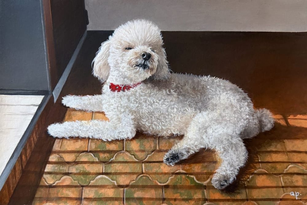 Retrato pintado a mano de Marley, un caniche blanco con collar rojo